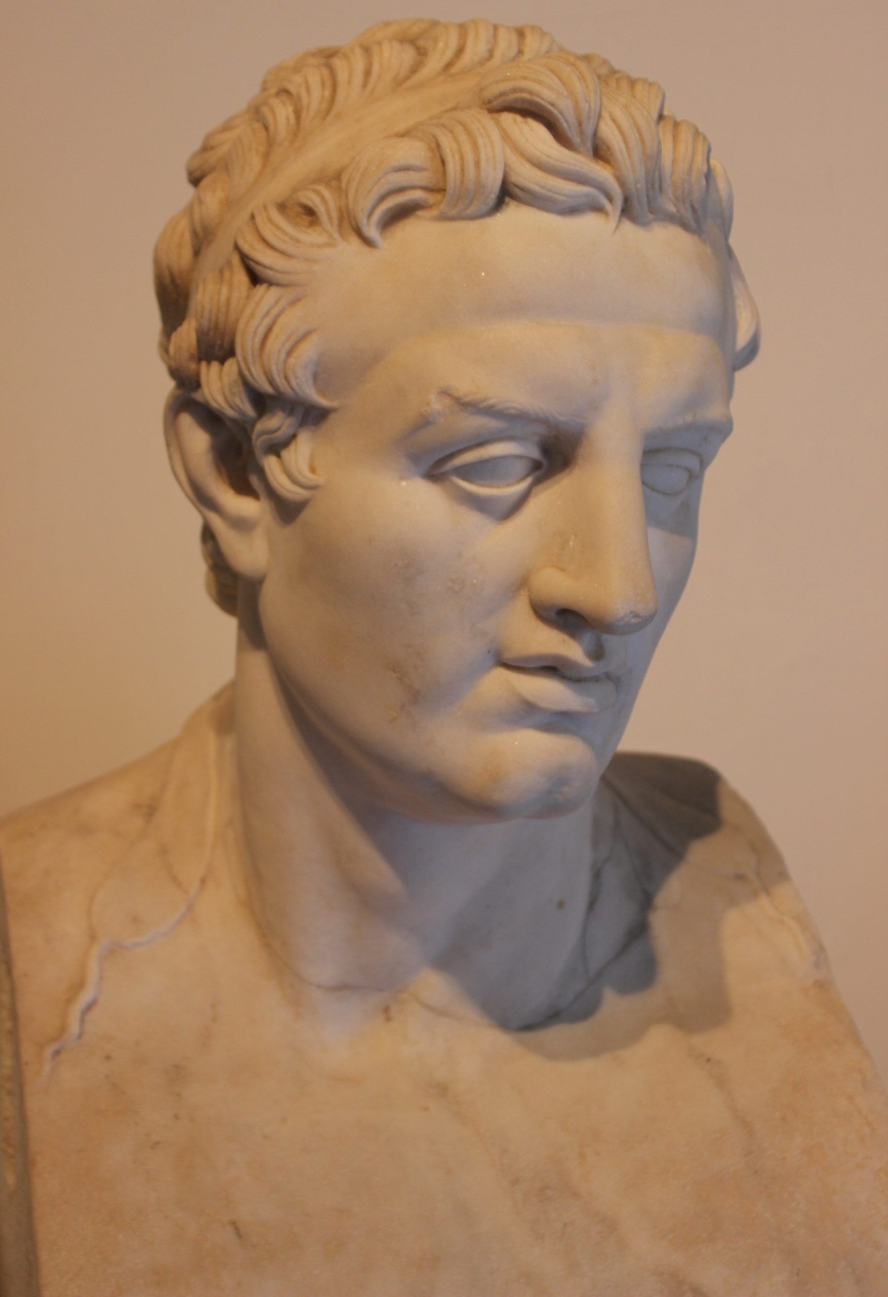 Facial Reconstruction Of Ptolemy I Soter, Macedonian Greek General