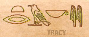 Ancient Egyptian Name Translator - Tracy in hieroglyphs